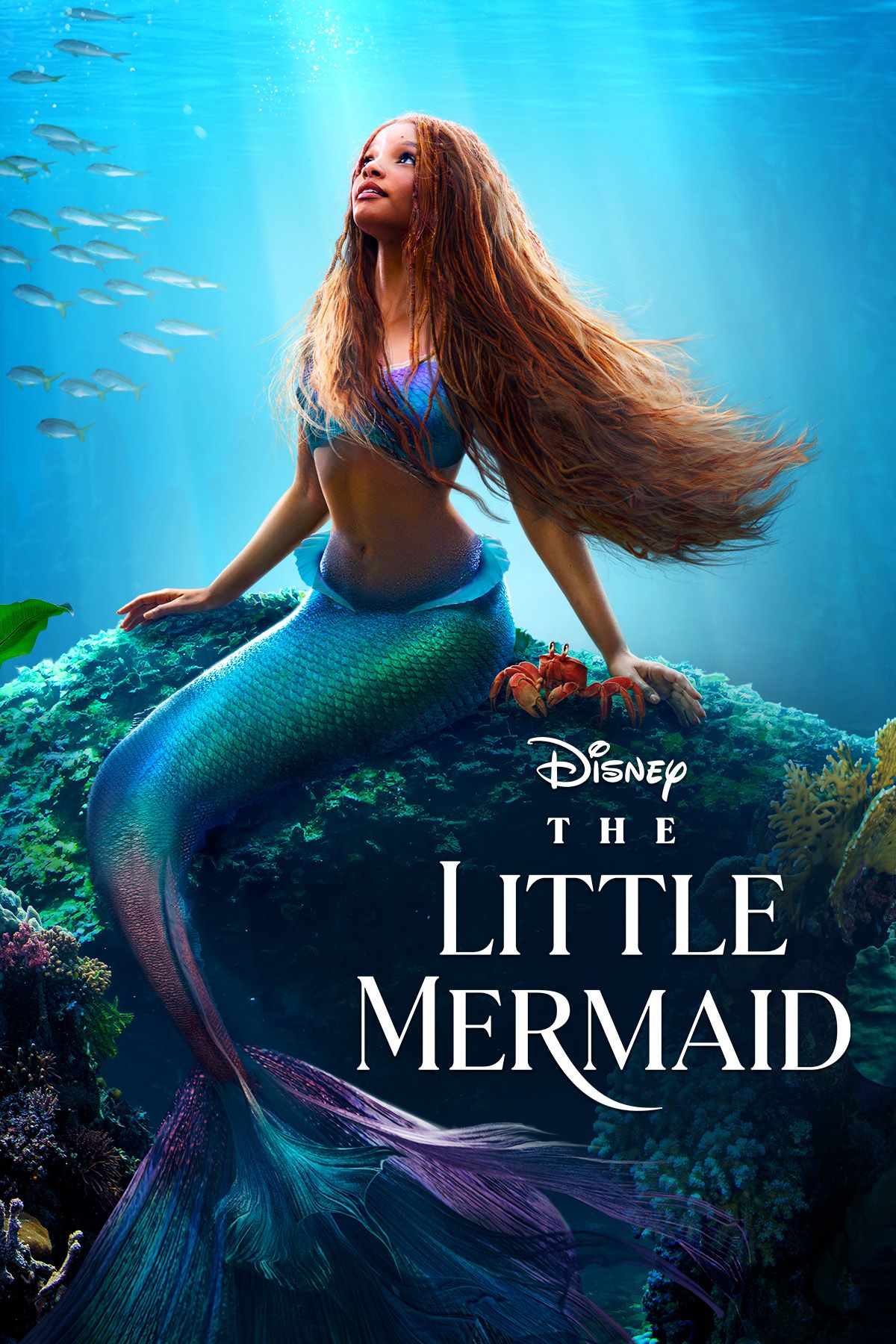 The Little Mermaid - Vj Emmy